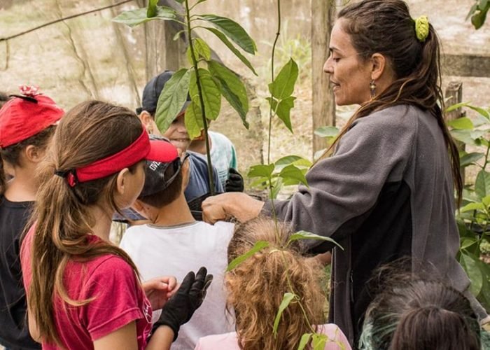 vivencia vila terra biodinâmica