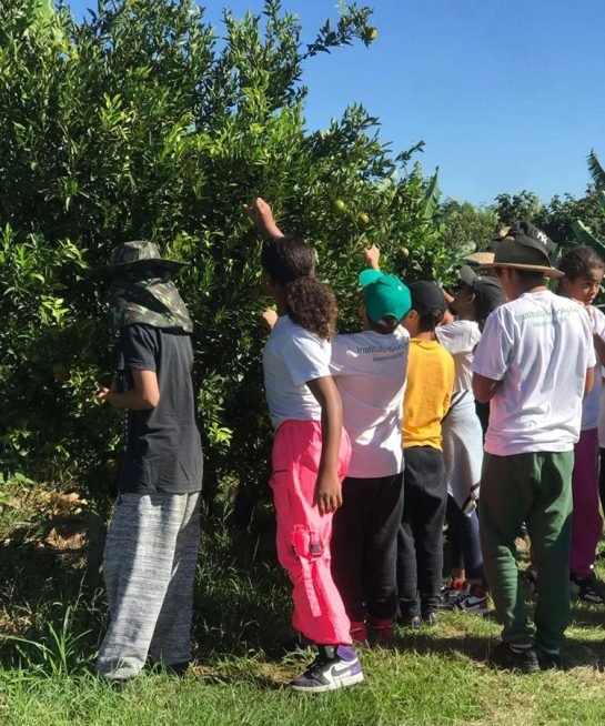 vivencia vila terra biodinâmica
