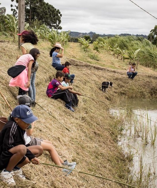 vivencia vila terra biodinâmica